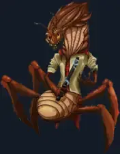 Illustration of the Colicoid species