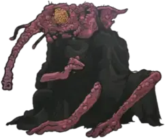 Illustration of the Culisetto species