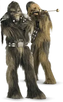 Illustration of the Wookiee species